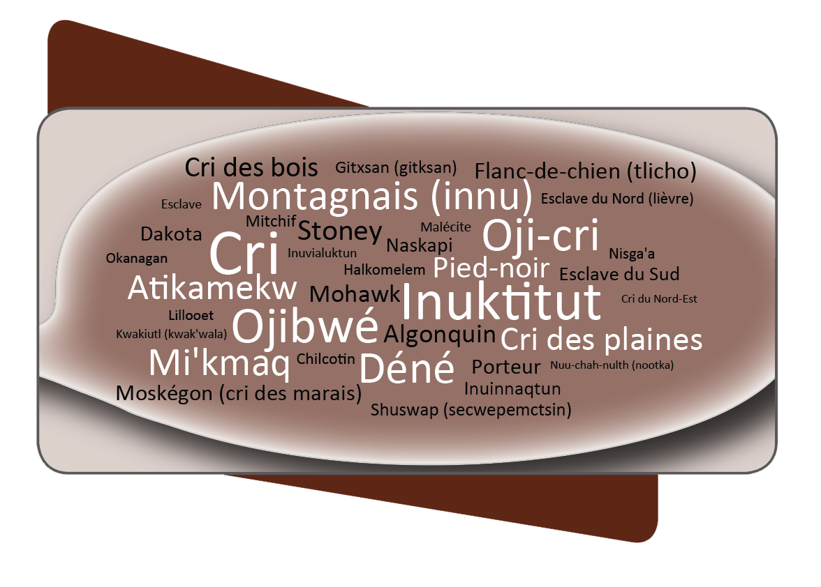 L’image est de forme rectangulaire et renferme un ovale dans lequel sont inscrites les 36 langues autochtones les plus souvent parlées par au moins 500 locuteurs en 2016
