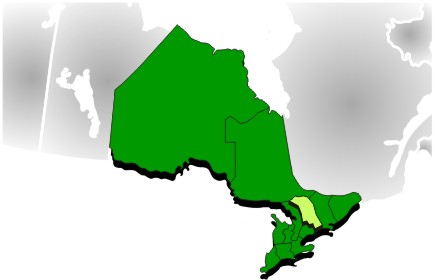 Image pour Région économique (RE)