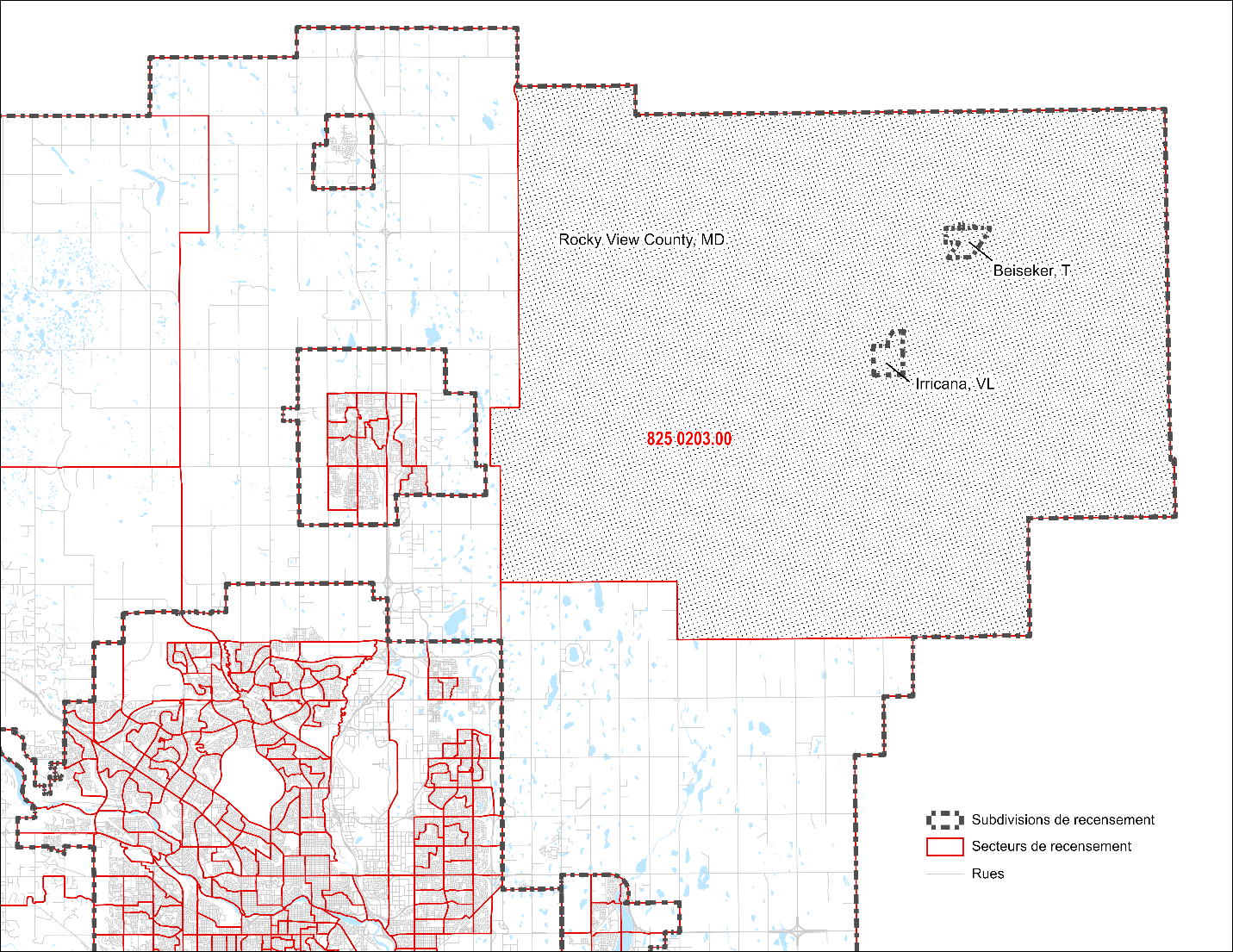Secteur de recensement 825 0203.03 dans la région métropolitaine de recensement de Calgary (Alberta), Recensement de 2021