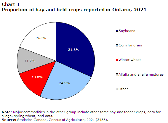 Chart 1 Proportion of hay and field crops reported in Ontario, 2021